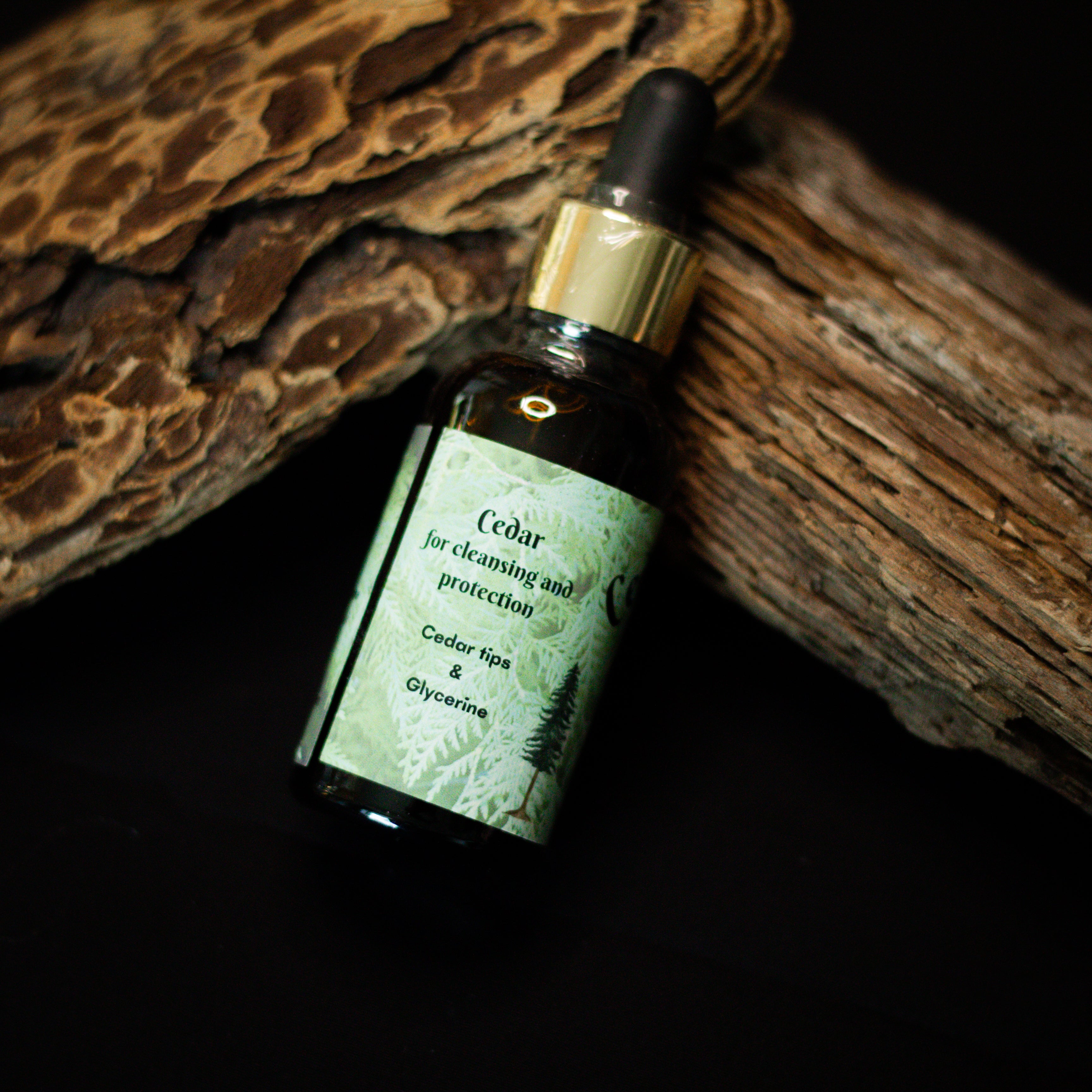 Cedar Drops | Tinctures