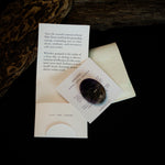 Charger l'image dans la galerie, Palm Stone | Amethyst

