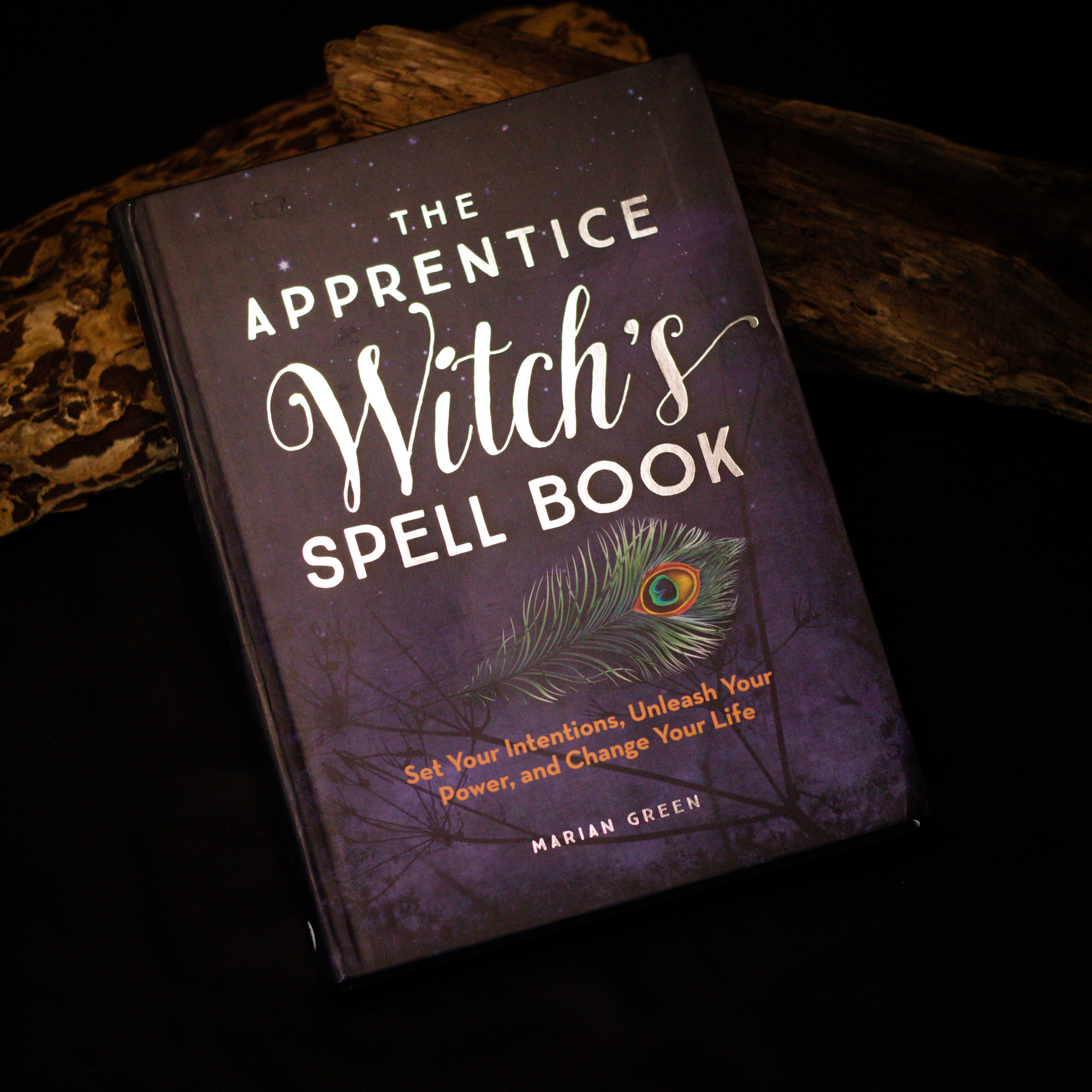The Apprentice Witch's Spell Book