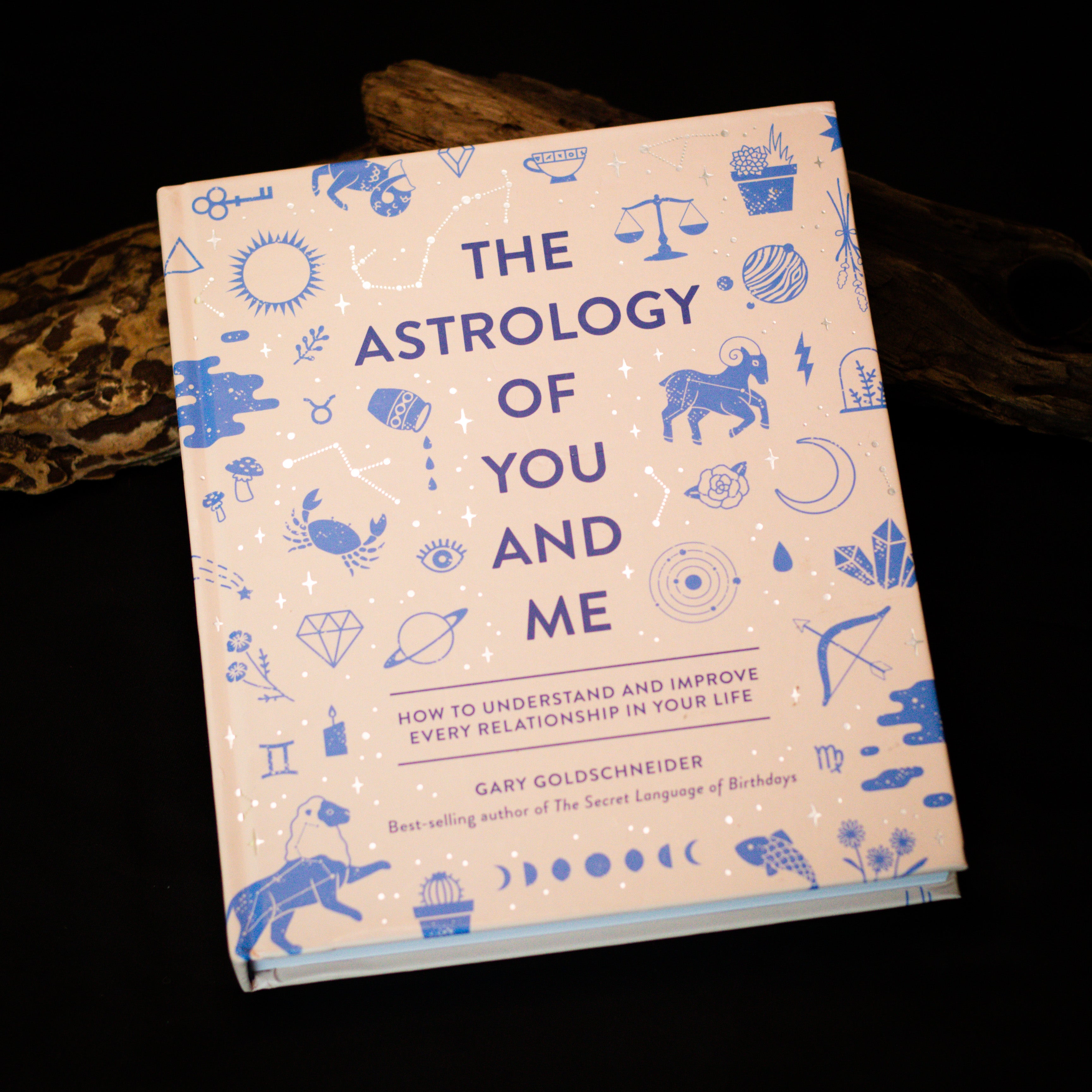 The Astrology of You and Me