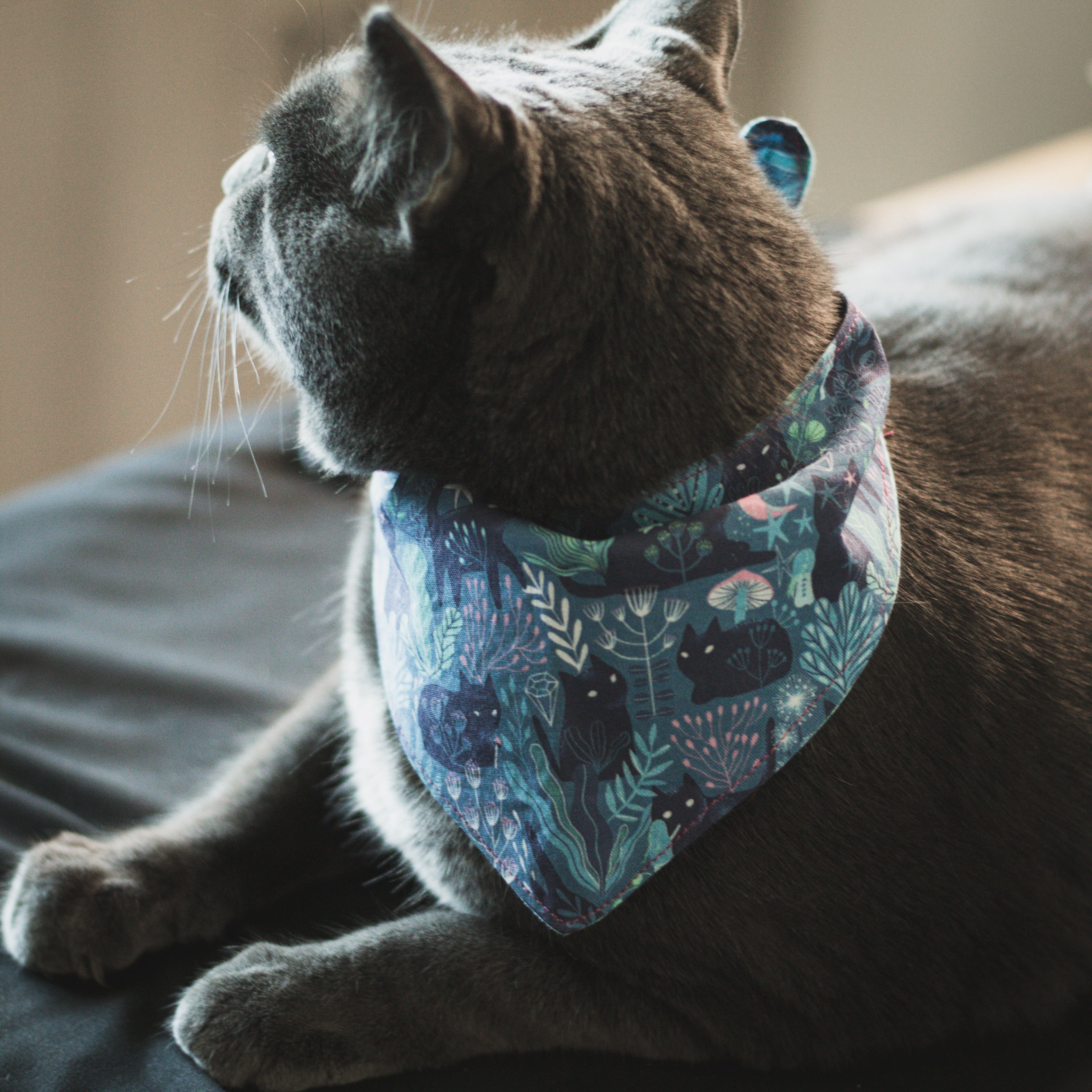 Witchy Pet Bandanas