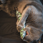 Charger l'image dans la galerie, Witchy Catnip Kickers
