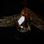 Charger l'image dans la galerie, Witch Ball | Lilith
