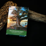Load image into Gallery viewer, Forest Wisdom Oracle Deck
