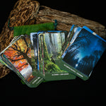 Load image into Gallery viewer, Forest Wisdom Oracle Deck
