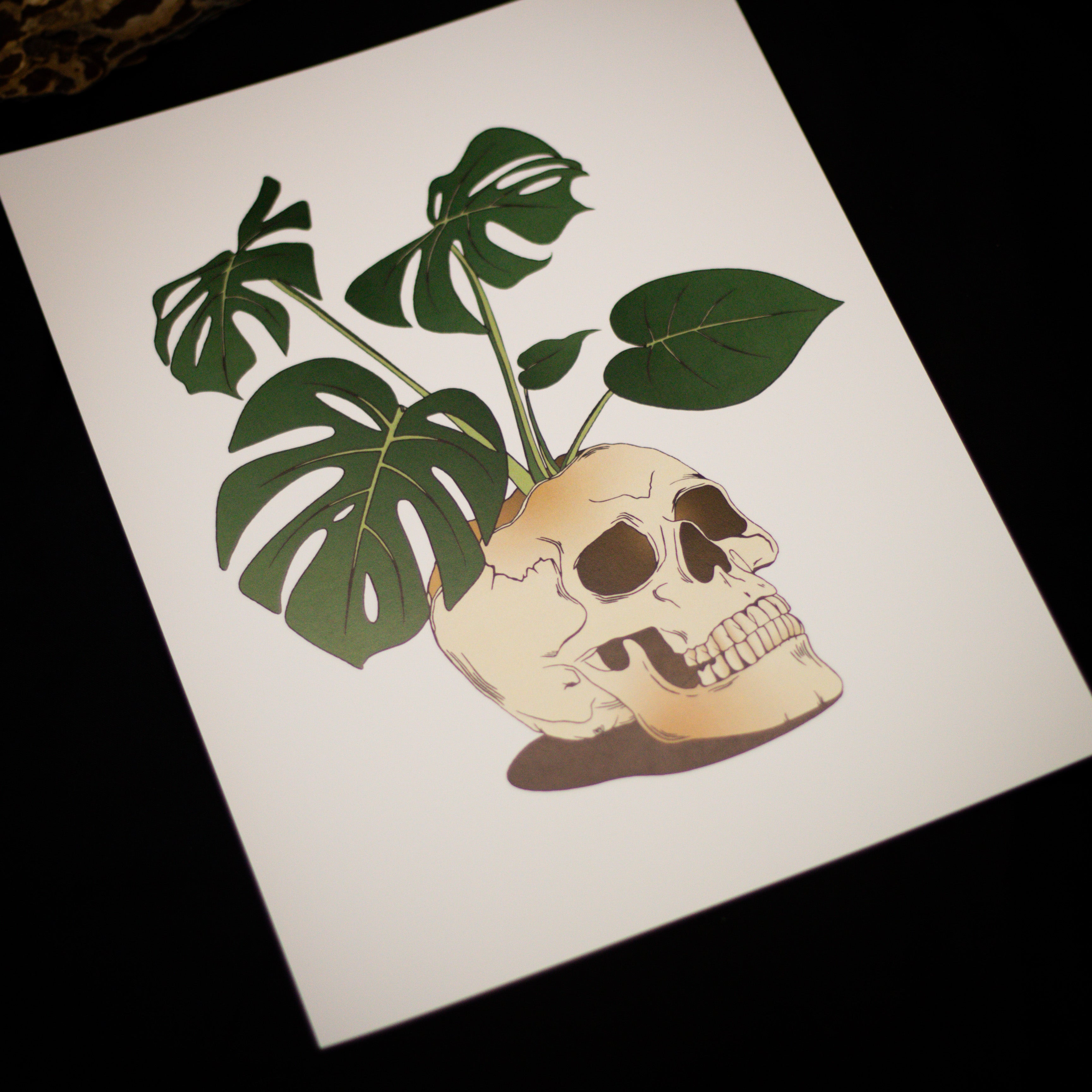 Monstera | Print