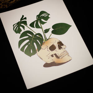 Monstera | Print