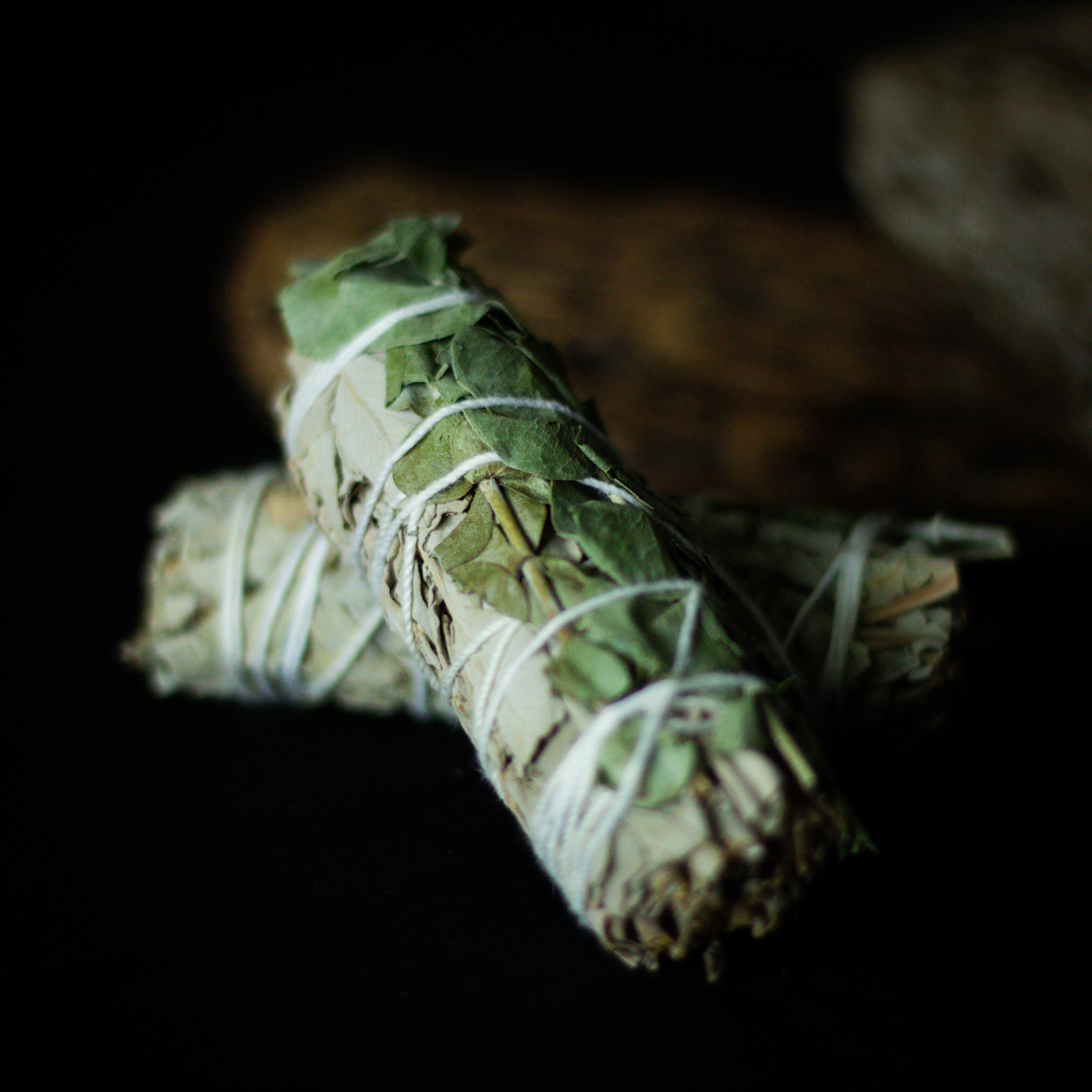 White Sage + Eucalyptus Smudge