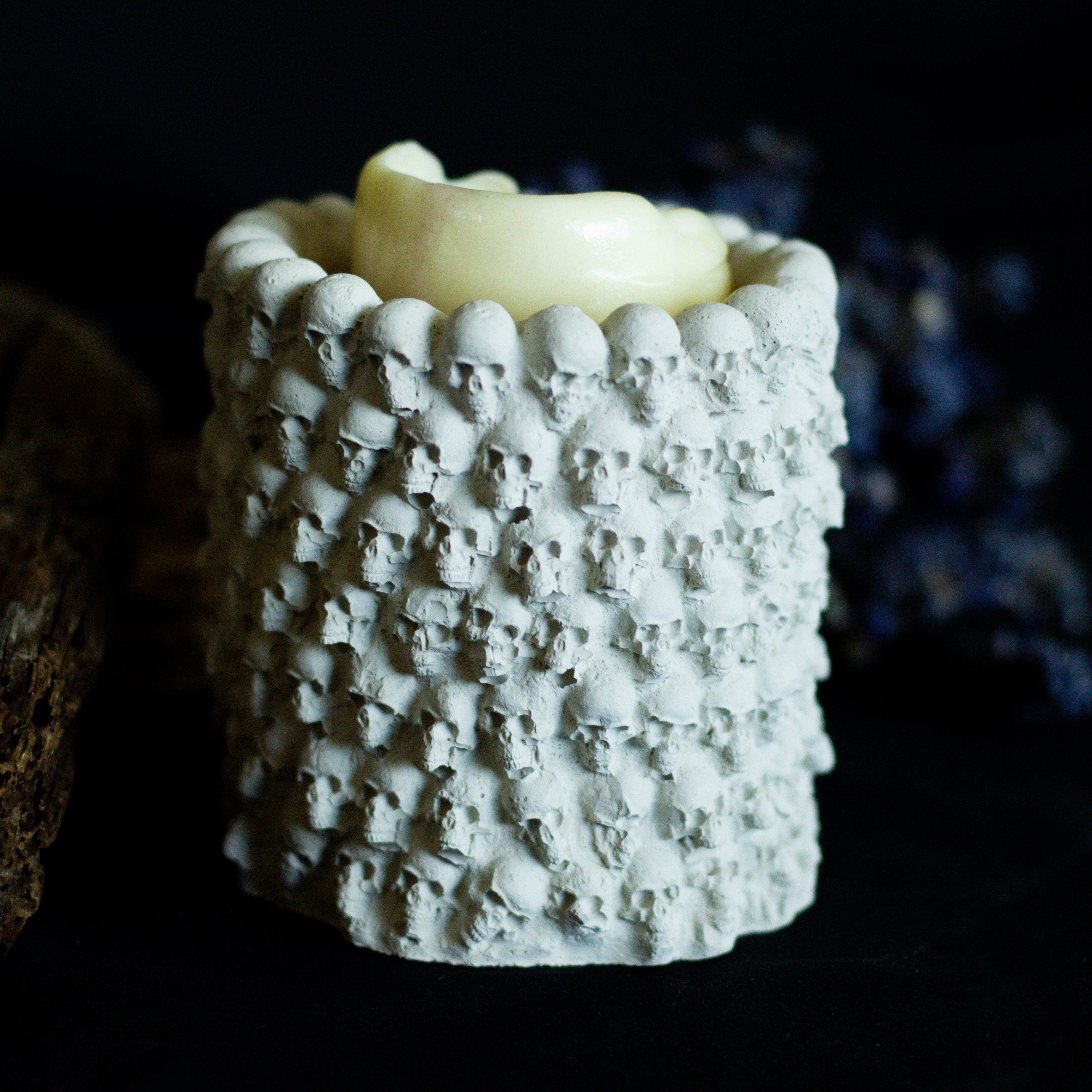 Skull Planter | Natural Concrete
