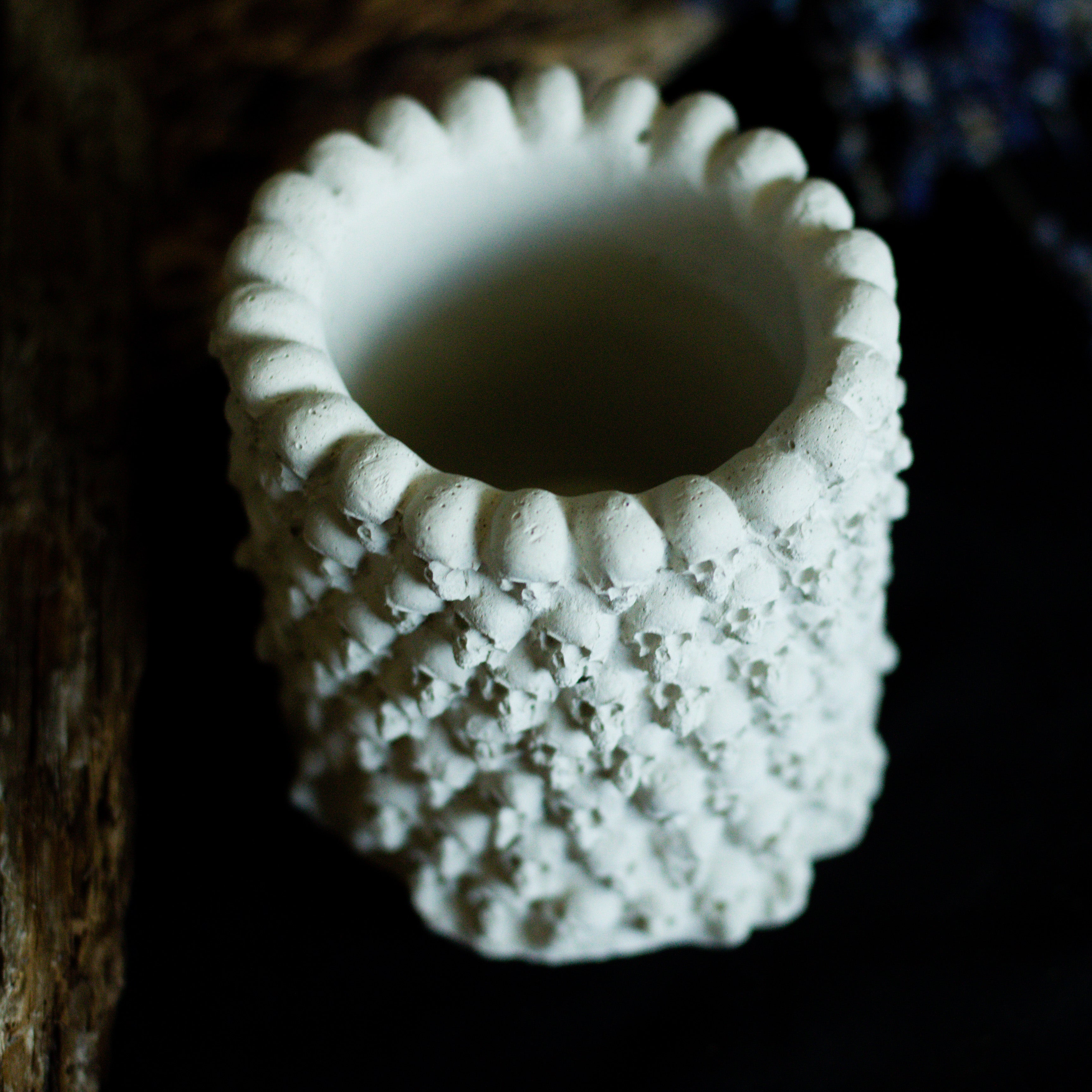 Skull Planter | Natural Concrete