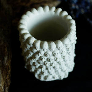 Skull Planter | Natural Concrete
