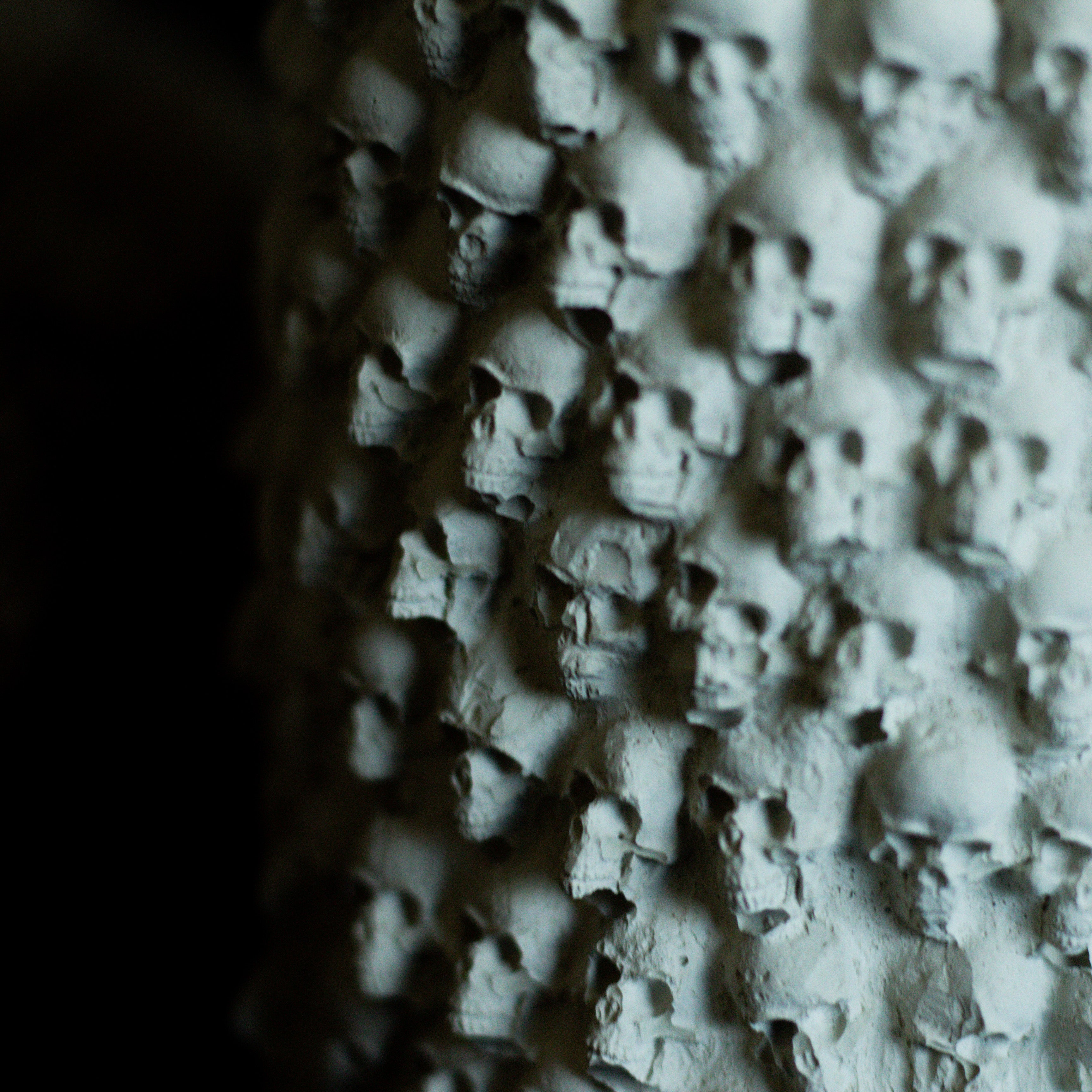 Skull Planter | Natural Concrete