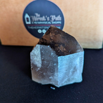 Load image into Gallery viewer, Smokey Quartz Polished | Point
