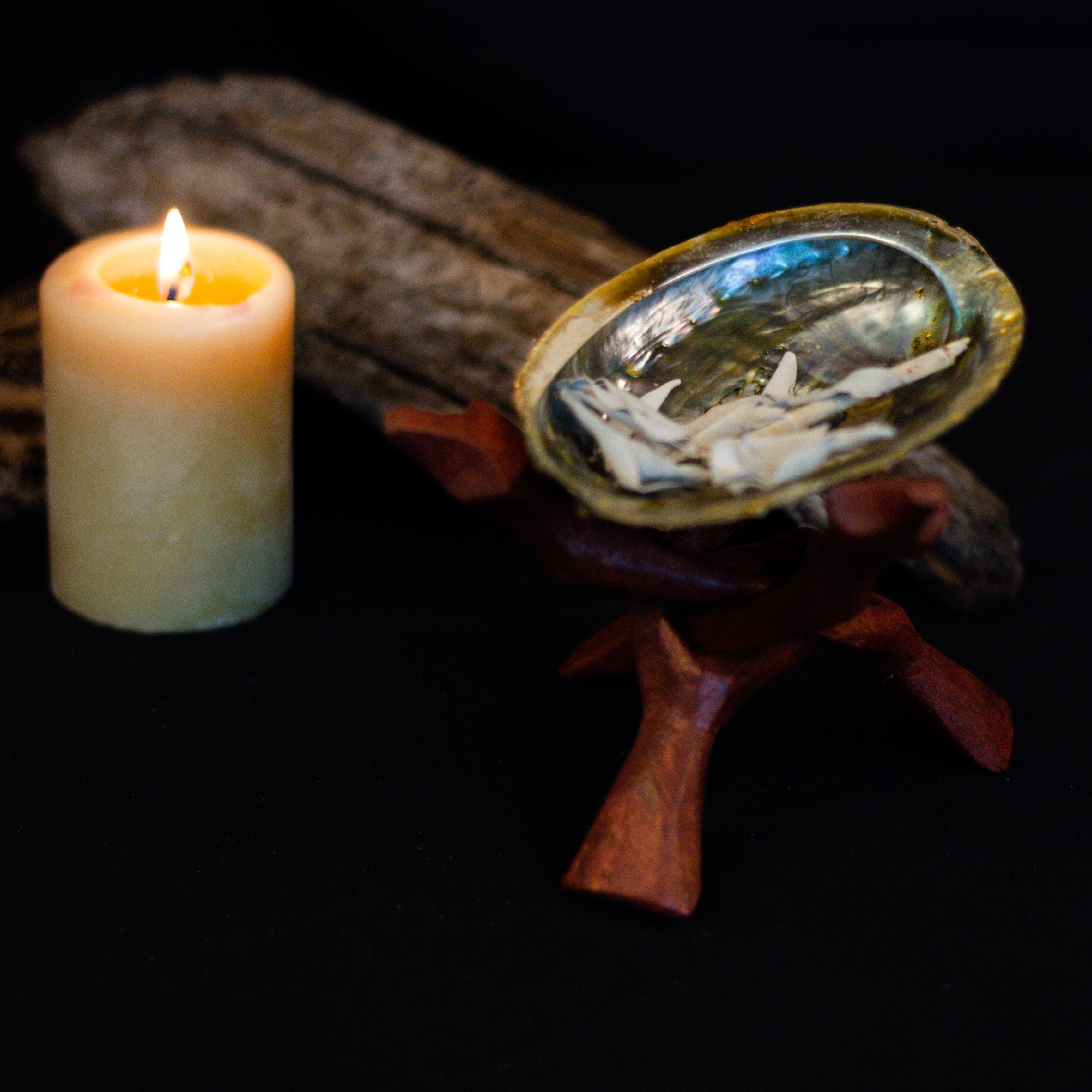 Abalone Smudging Dish