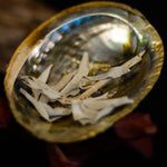 Load image into Gallery viewer, Abalone Smudging Dish
