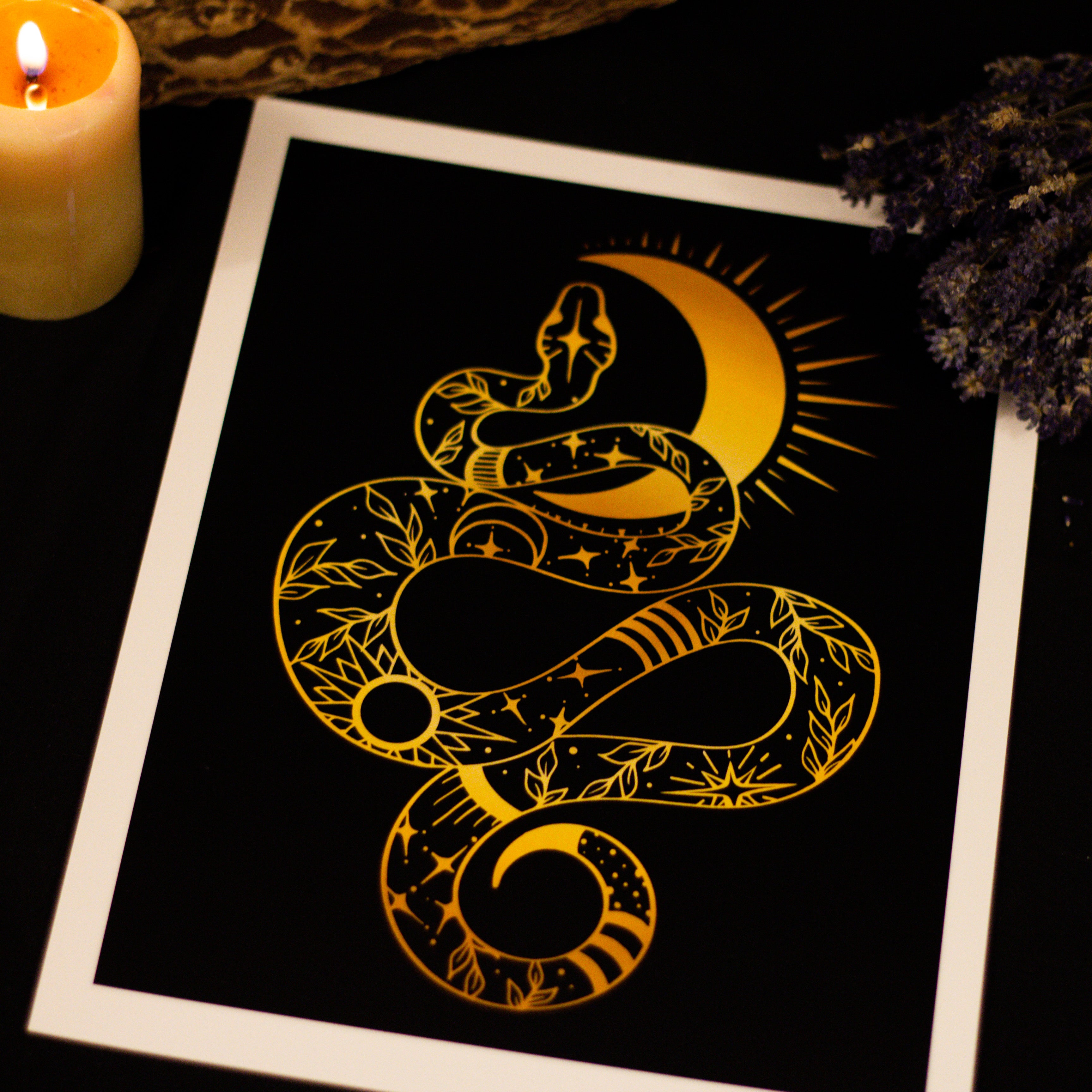 Moon Snake | Print
