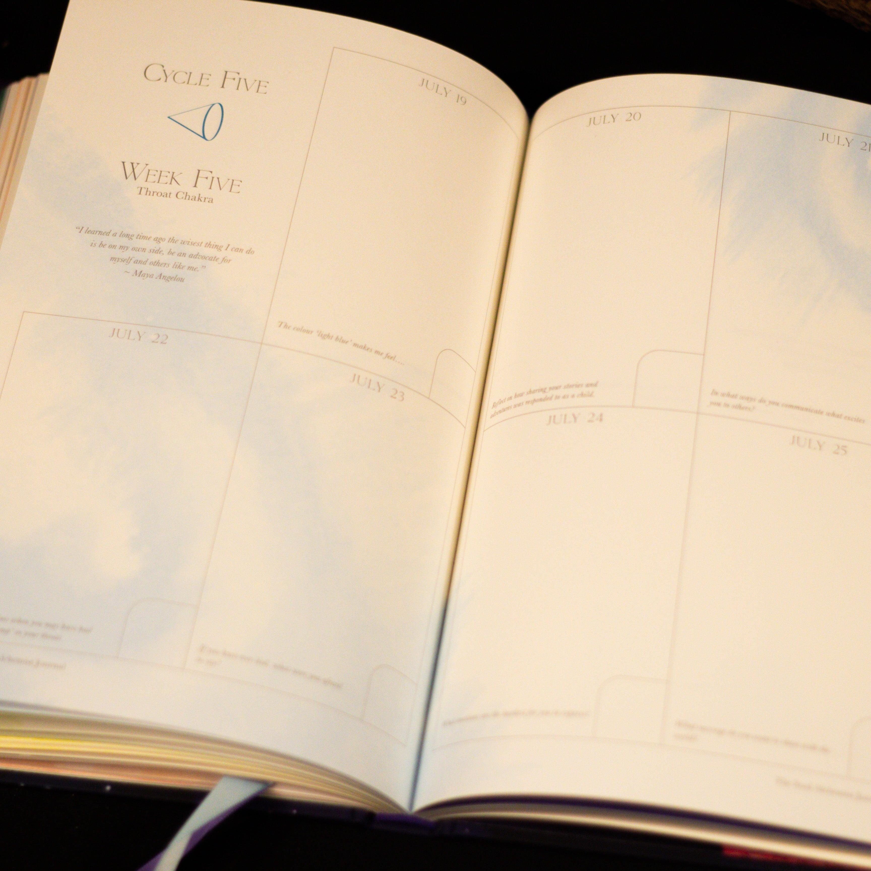 Soul Alchemist Journal