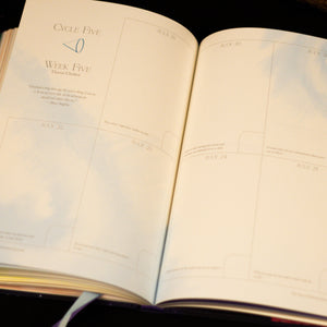 Soul Alchemist Journal