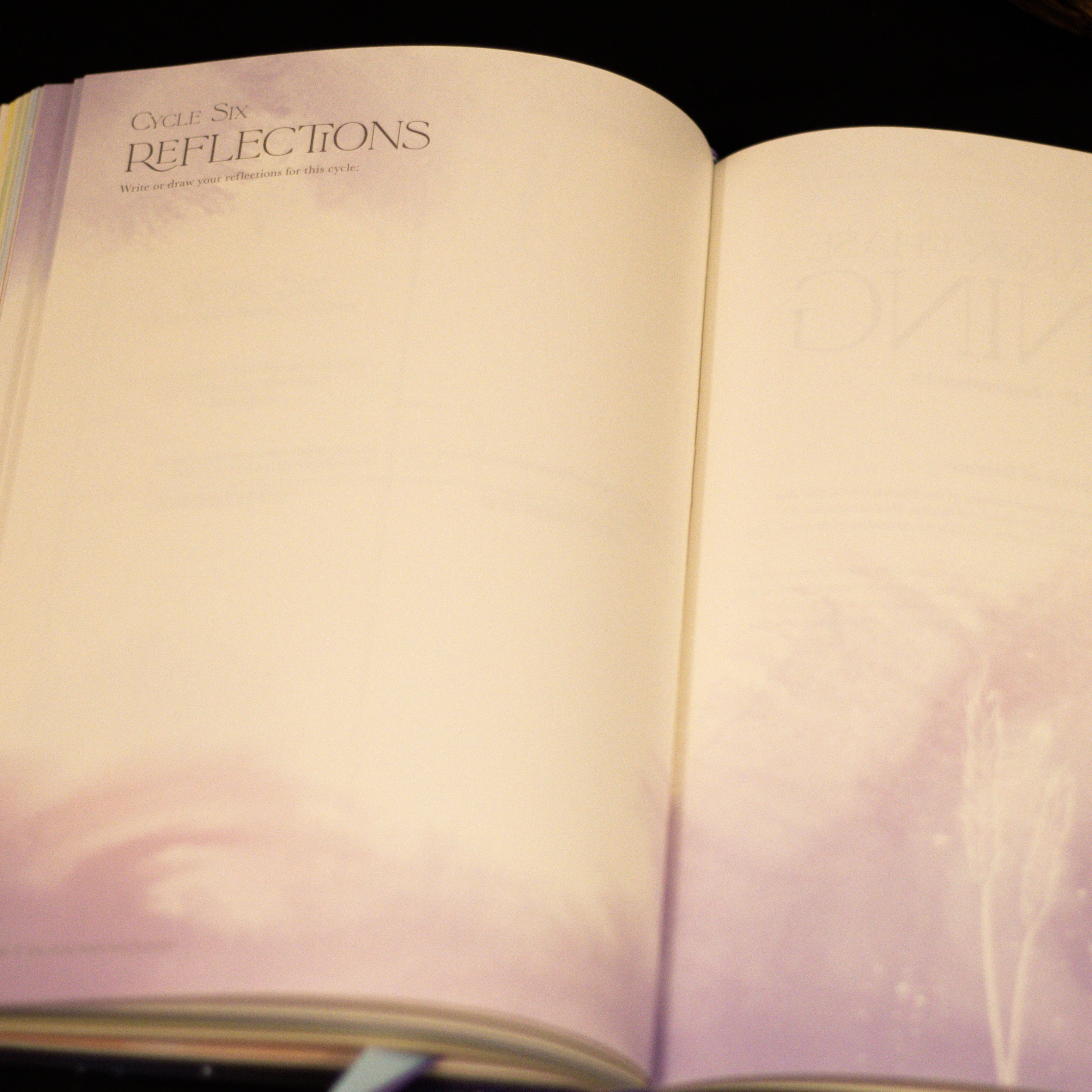 Soul Alchemist Journal