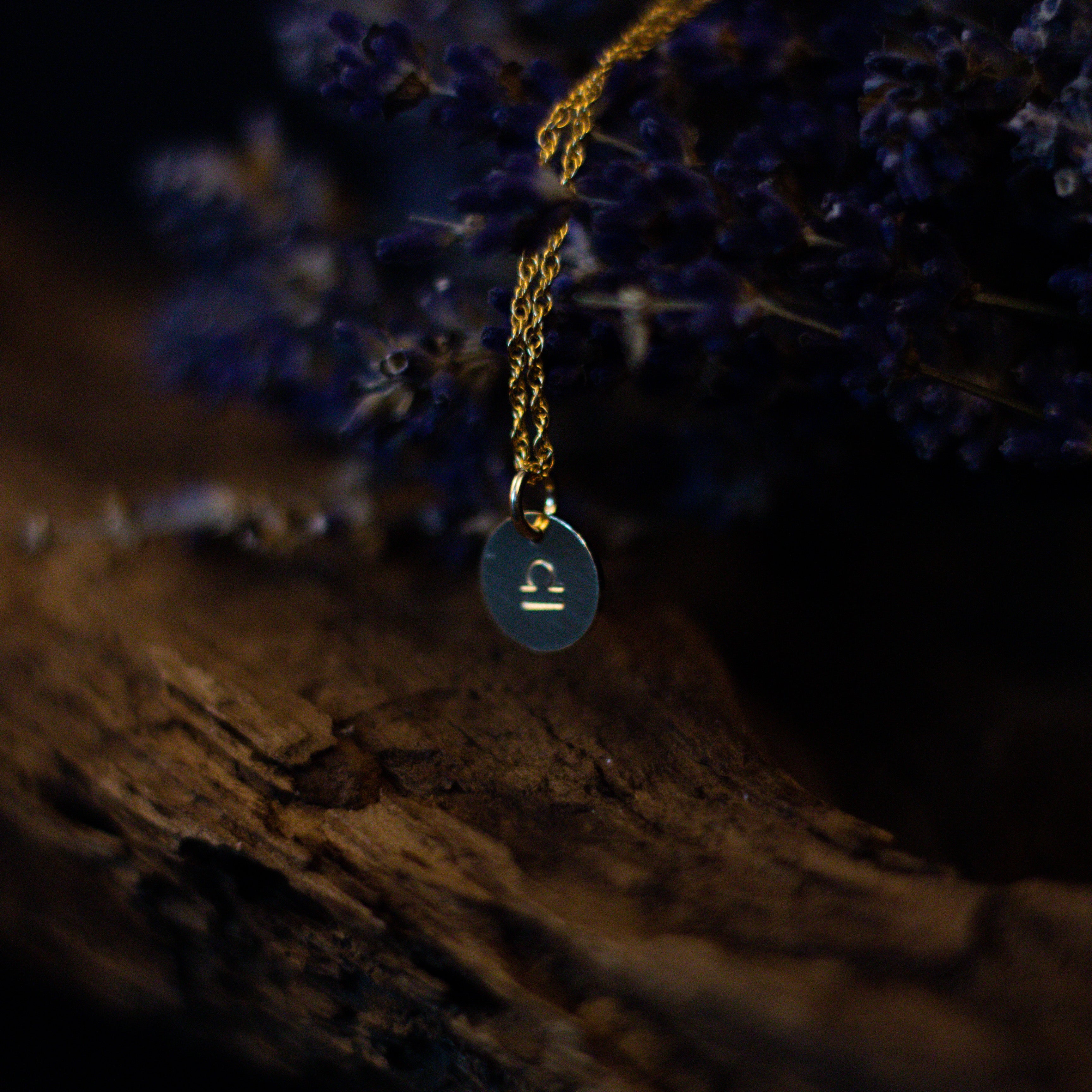 14kgf Zodiac | Necklace