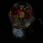 Charger l&#39;image dans la galerie, Manifest | Incense
