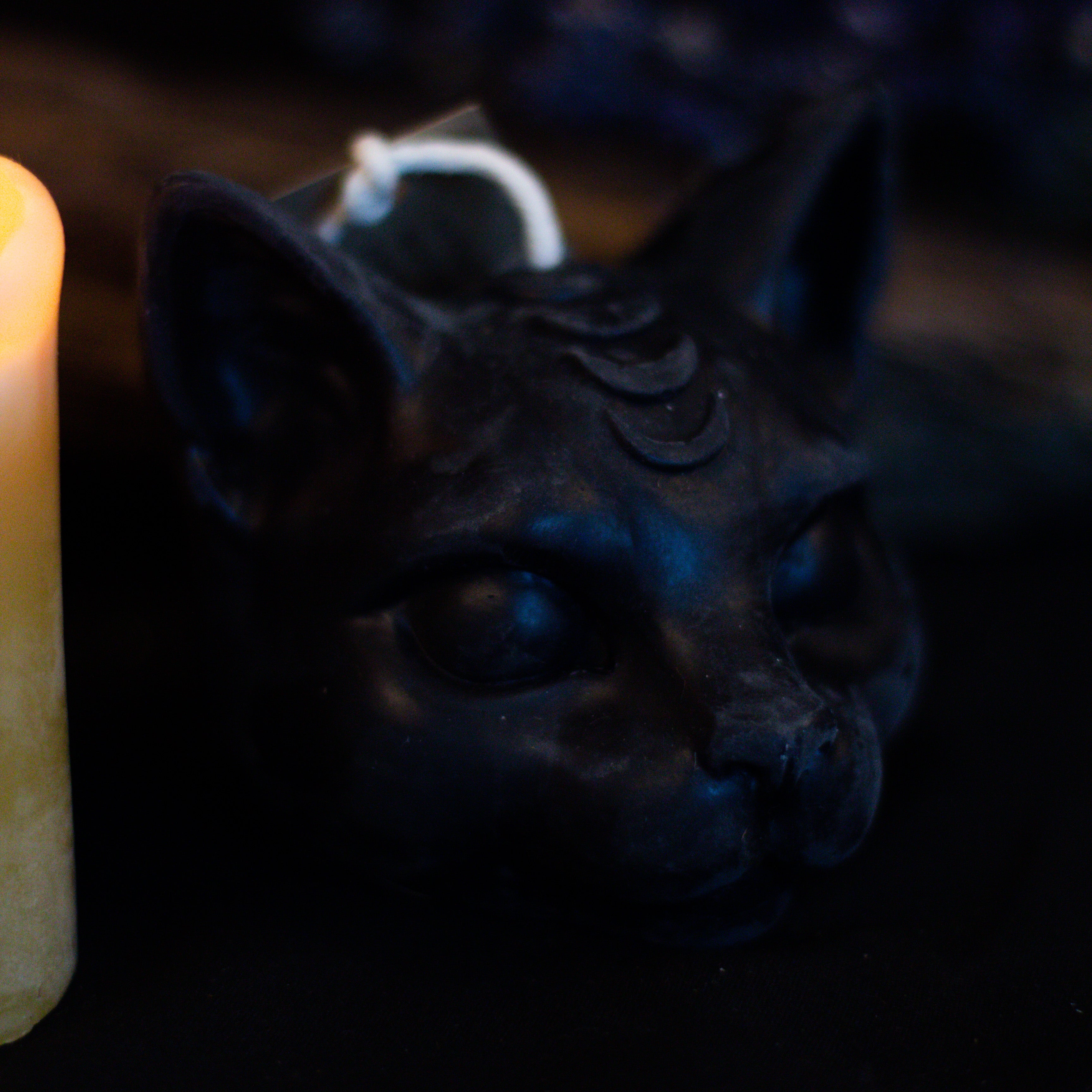 Cat Head | Candle