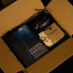 Load image into Gallery viewer, Witchy Vibes - Gift Box
